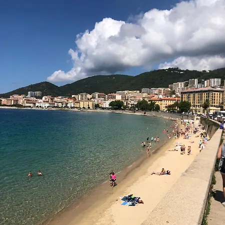 Apartment Spacieux Et Confortable T3 Au Centre D Ajaccio *